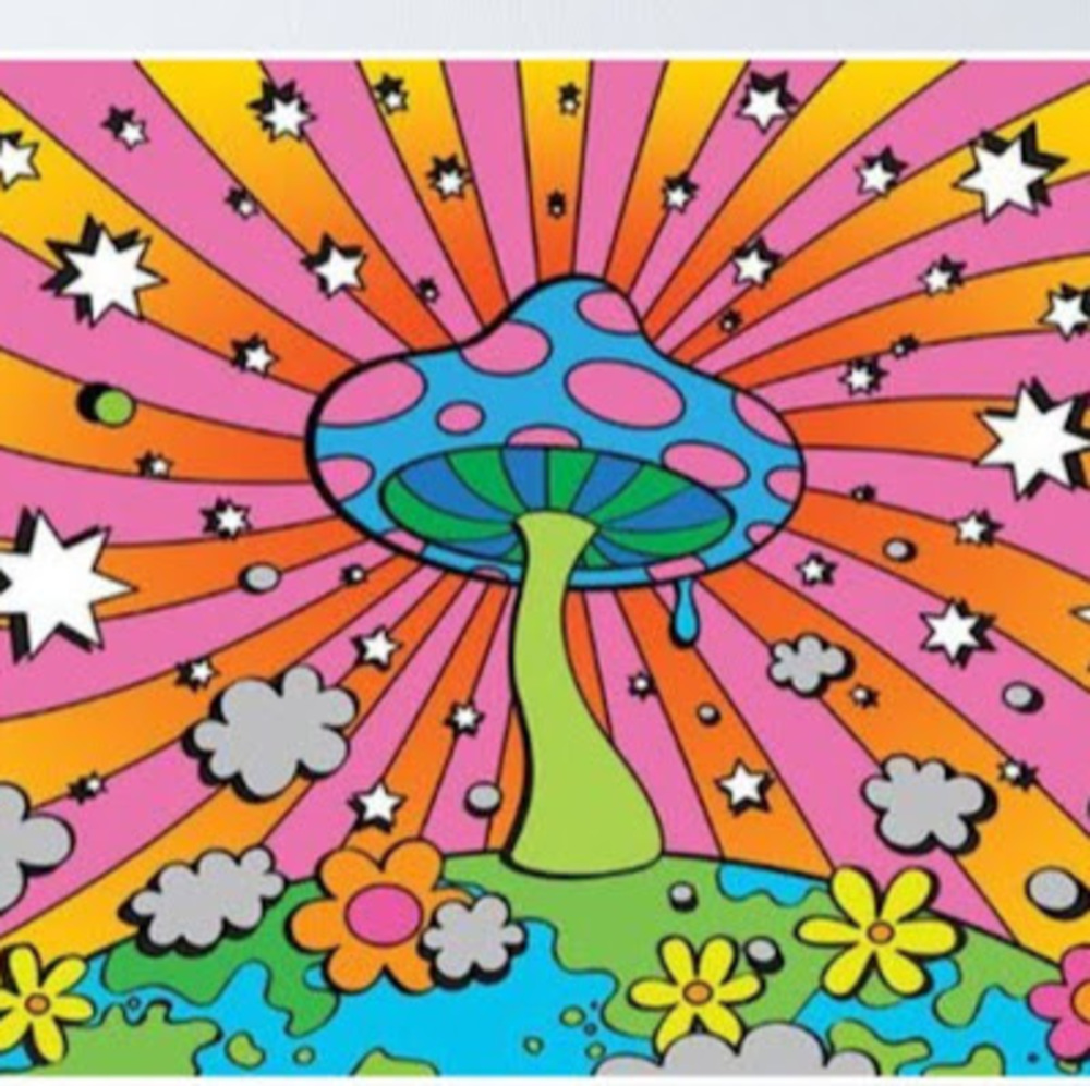 Meet your Posher, Amelia